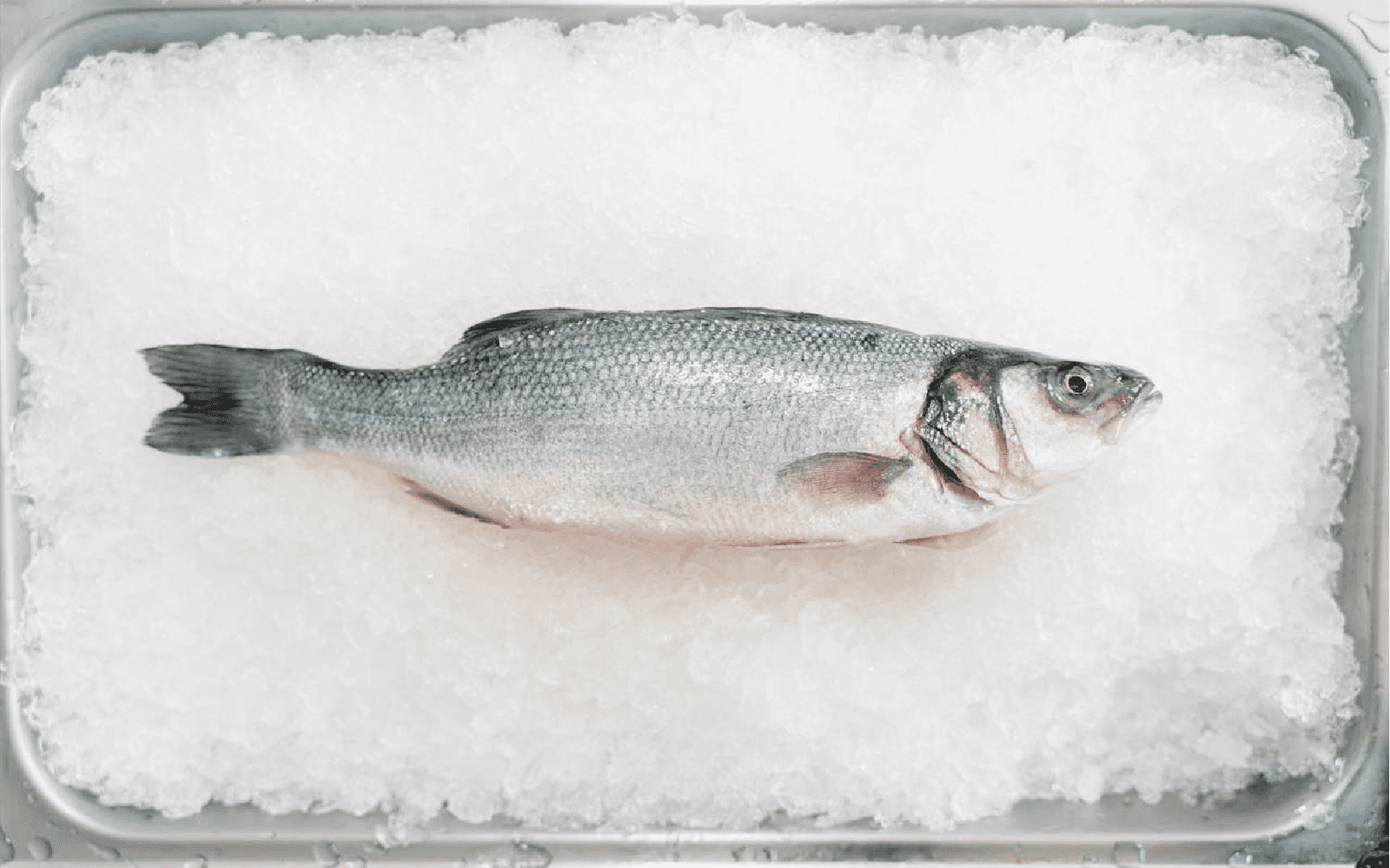 Top 8 Cooling Meal Plans for UAE- Raw Food Cooling Protocol 